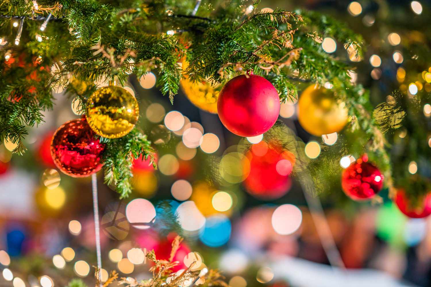 FESTIVE FUN - Outdoor Fun + Zoku Brand