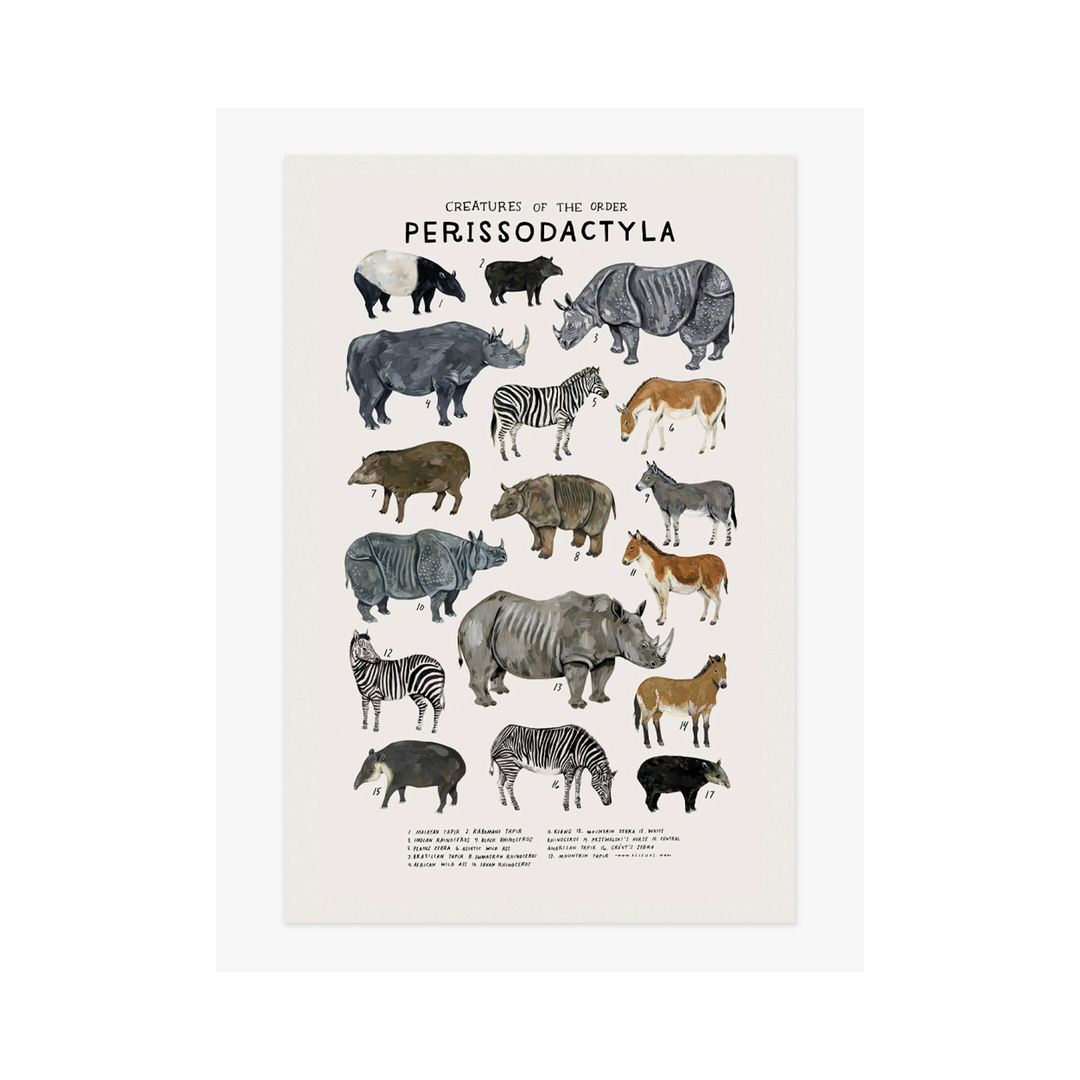 Kelzuki - Perissodactyla Print - Dapper Mr Bear - www.dappermrbear.com - NZ