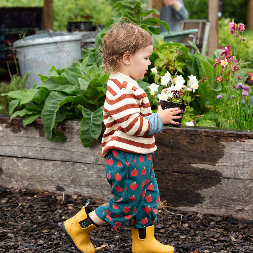 Little Green Radicals