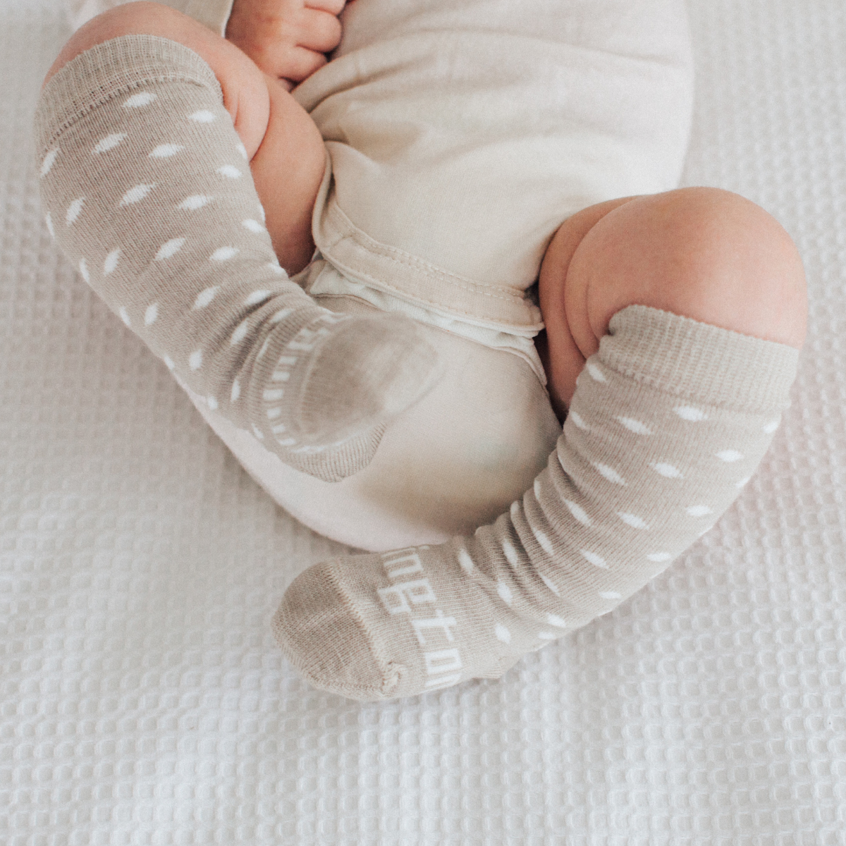 Lamington Socks