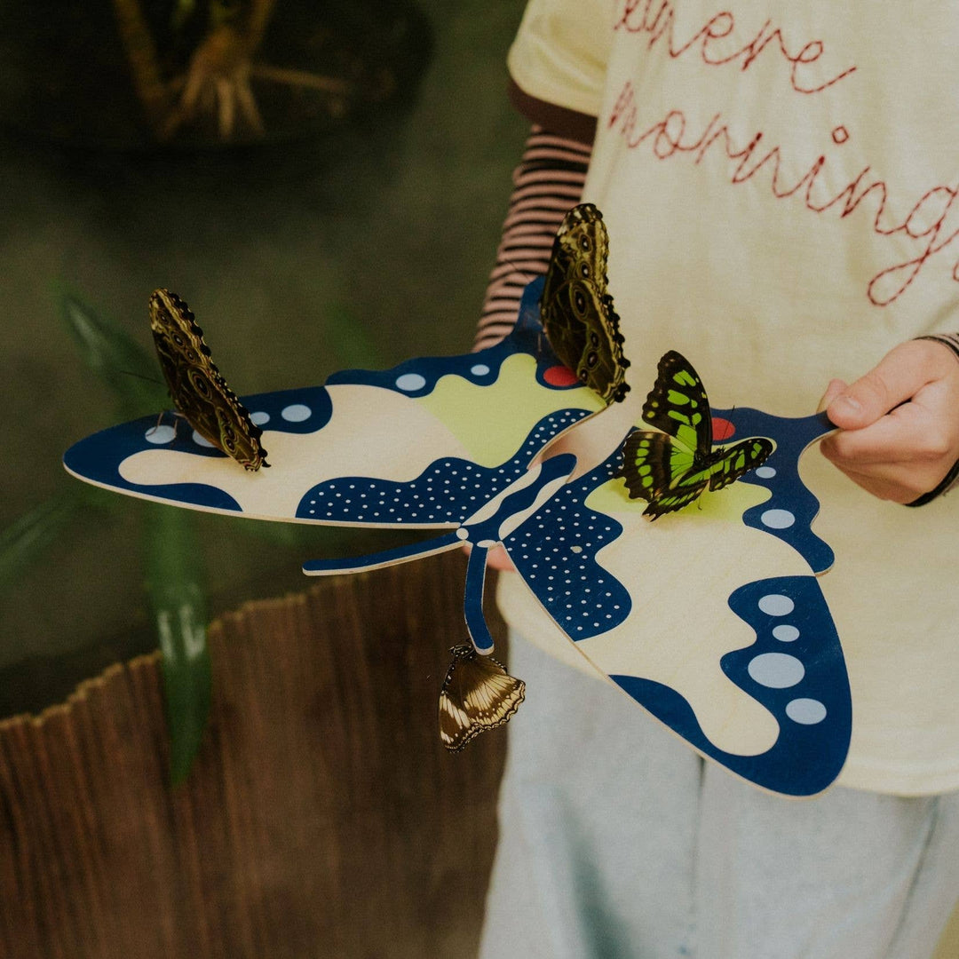 Milin - Swallowtail the Butterfly Wall Decoration