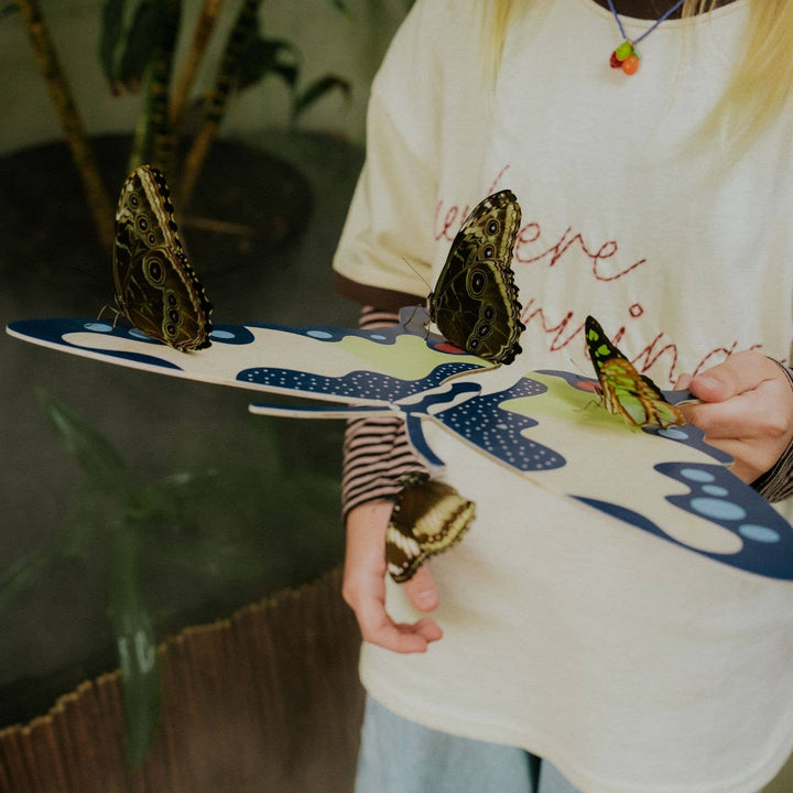 Milin - Swallowtail the Butterfly Wall Decoration