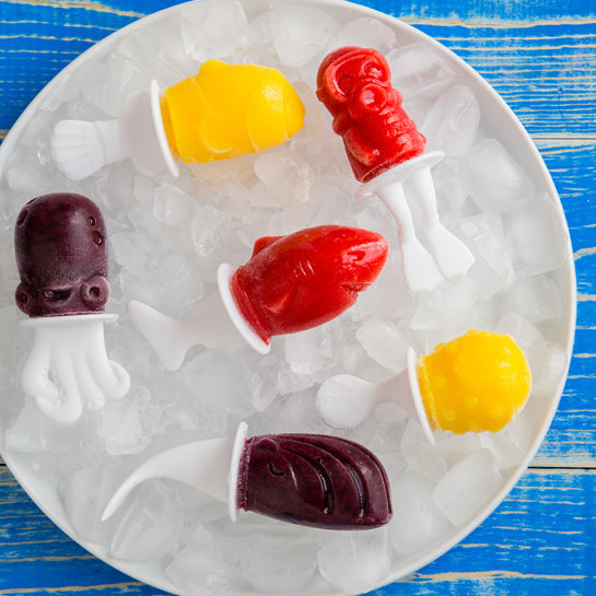 Fish Pop Ice Block Moulds (only 3 left!)