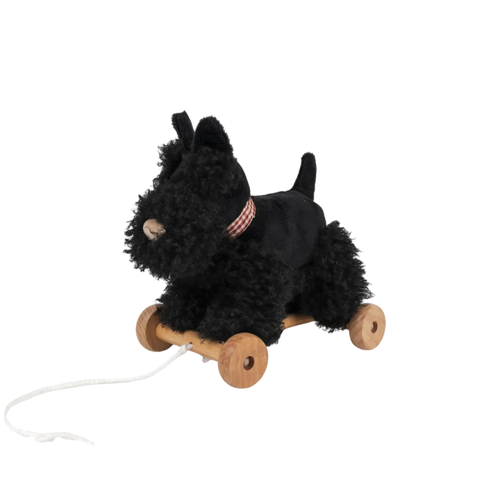 Egmont Toys Pull Along Walter Dog