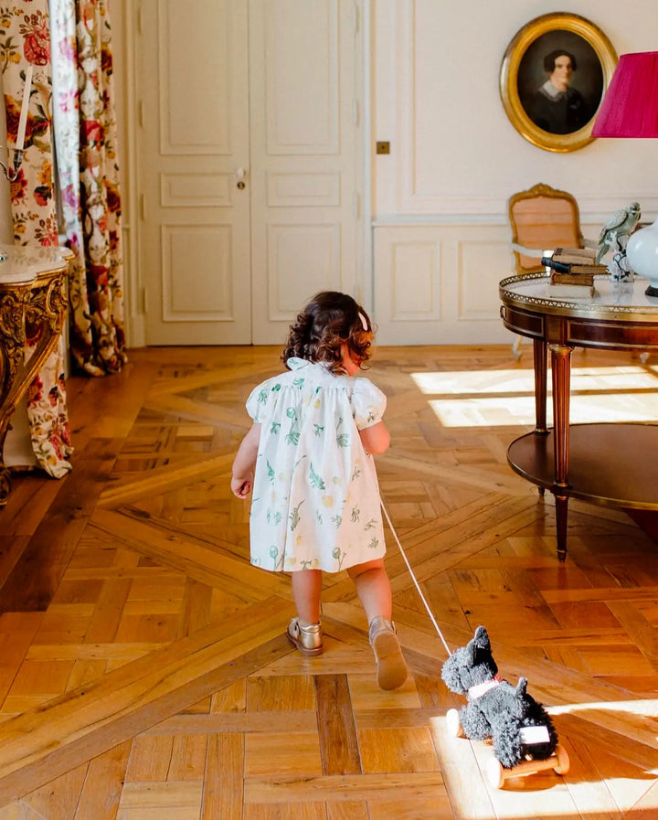 Egmont Toys Pull Along Walter Dog