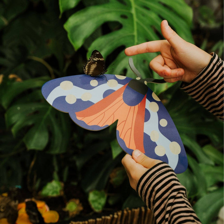 Milin - Burnet the Butterfly Wall Decoration