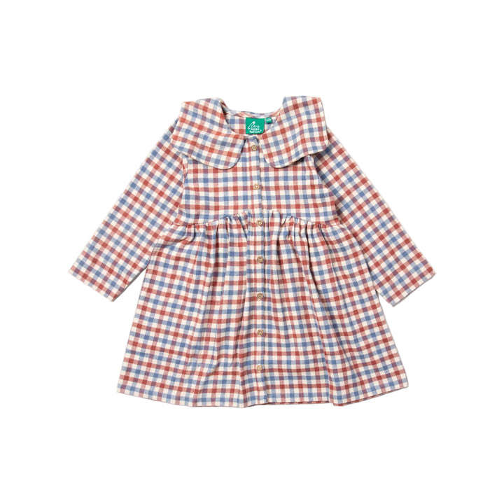 Little Green Radicals Ginger Check Long Sleeved Dress - Multi