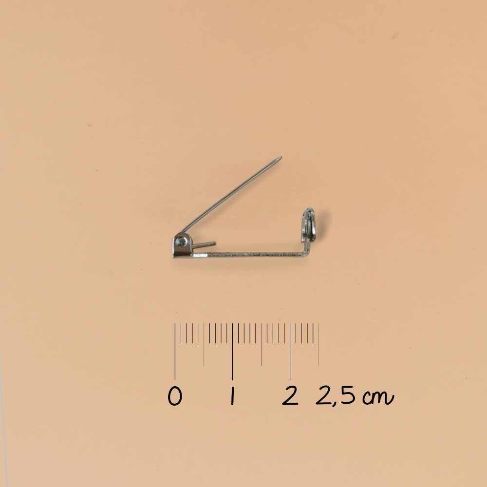 Luciole et Petit Pois Poodle Brooch