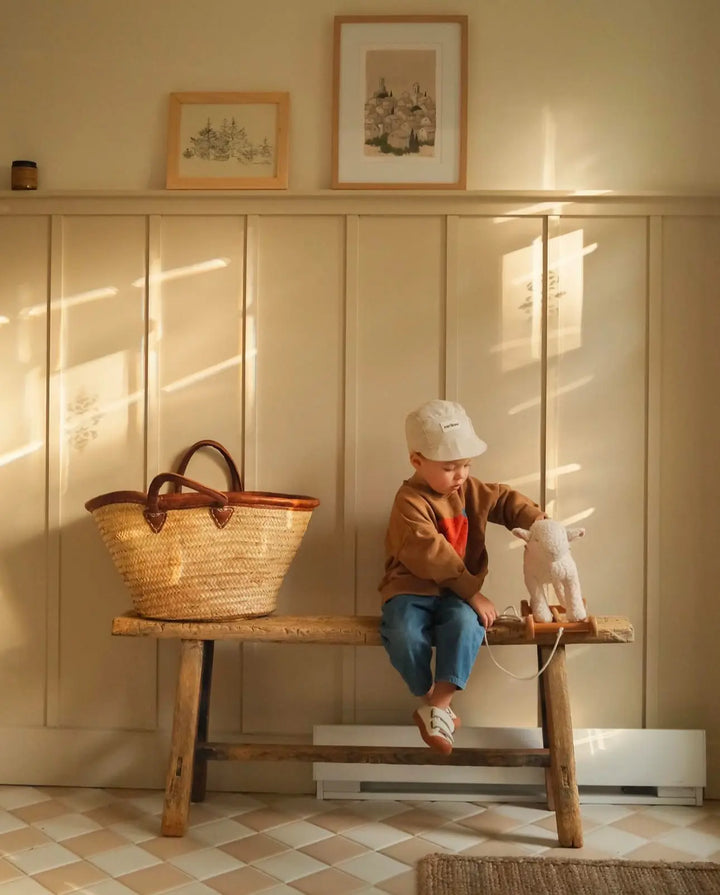 Egmont Toys Pull Along Mary Lamb