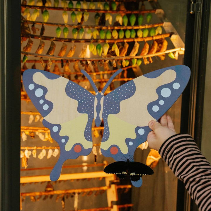 Milin - Swallowtail the Butterfly Wall Decoration