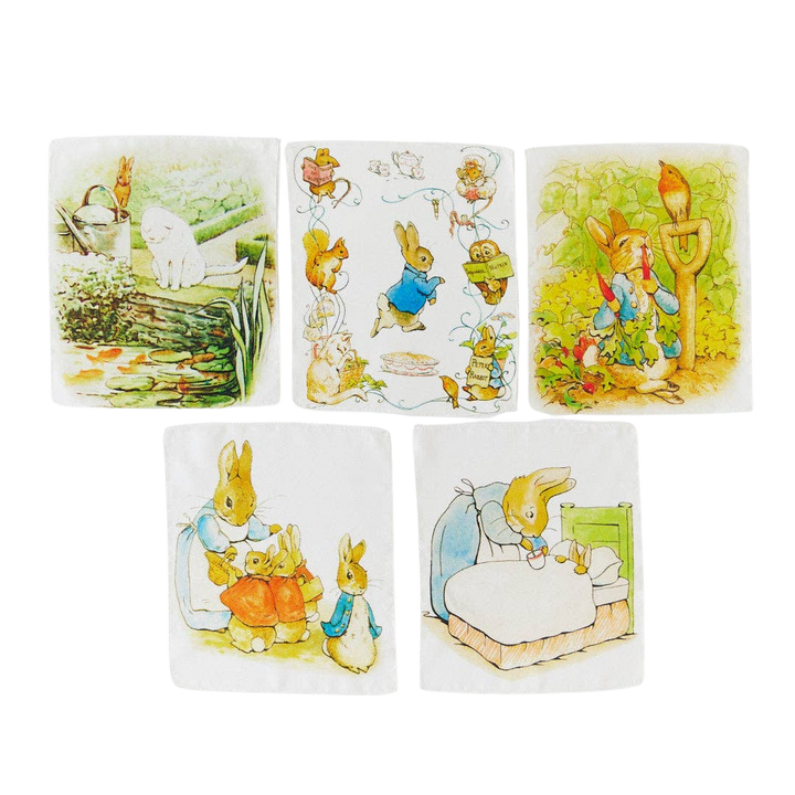 Sarah’s Silks - Mini Beatrix Potter Mystery Boxes