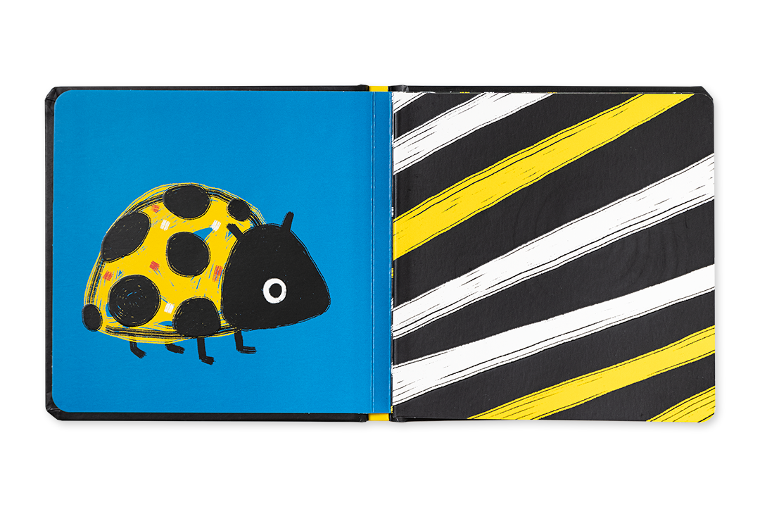 Edicare Editora Baby Contrast Accordion Book