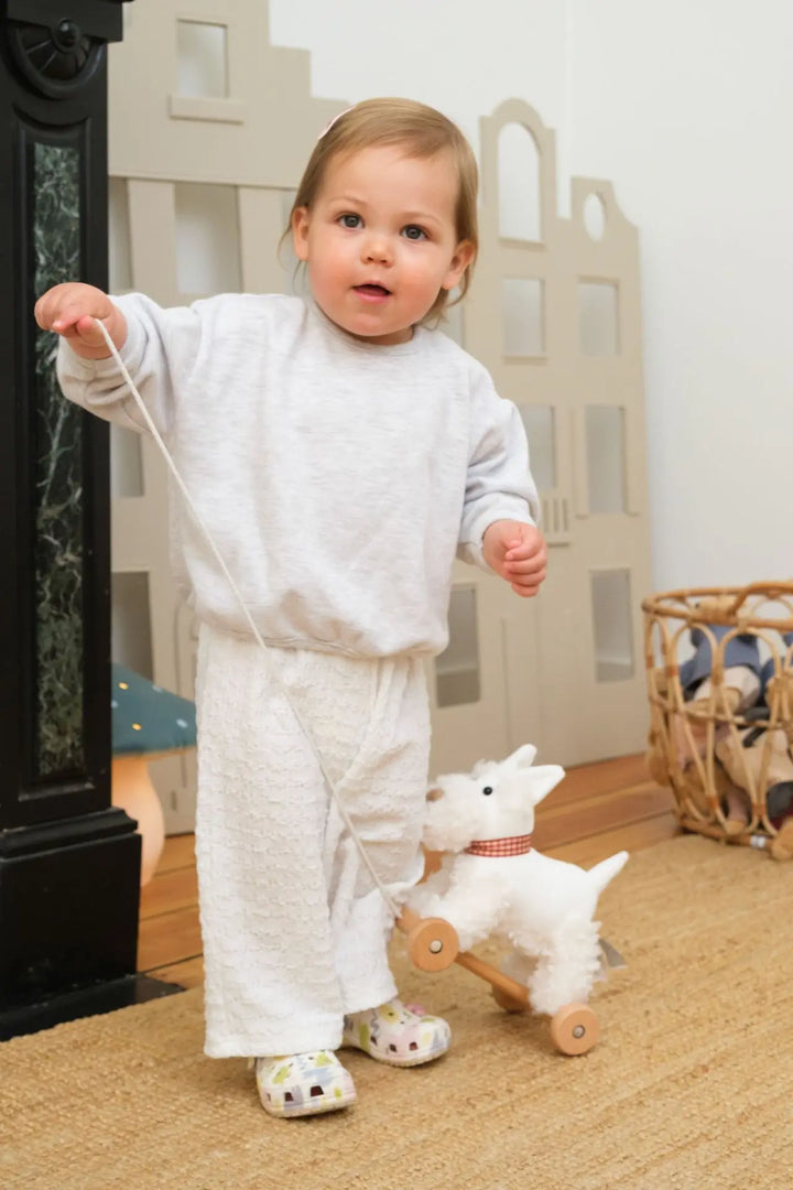 Egmont Toys Pull Along Lola Dog