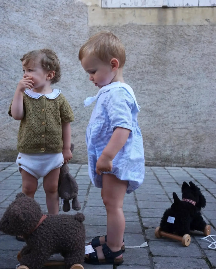 Egmont Toys Pull Along Walter Dog