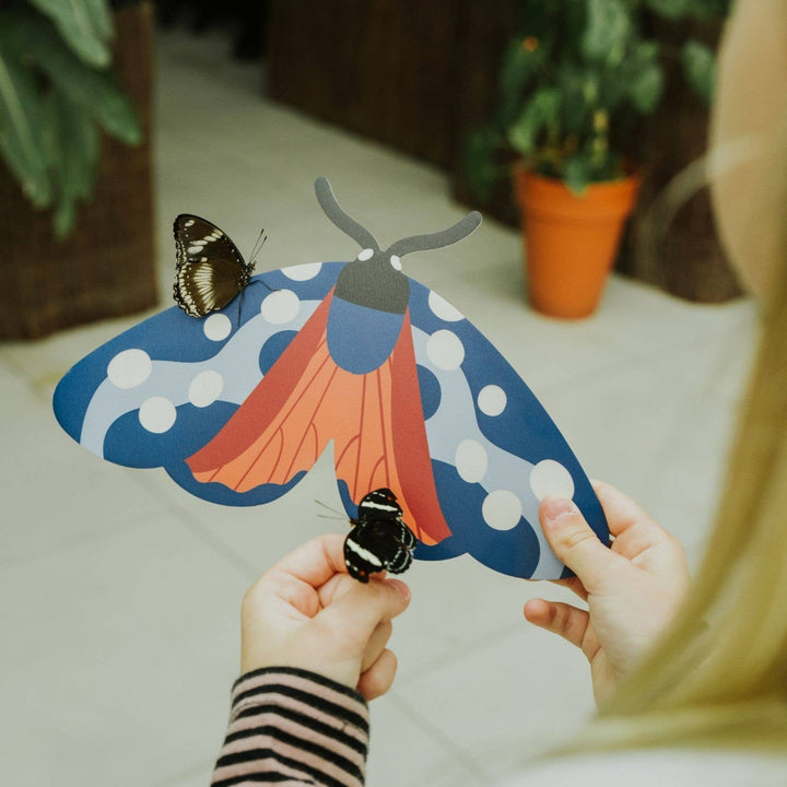 Milin - Burnet the Butterfly Wall Decoration