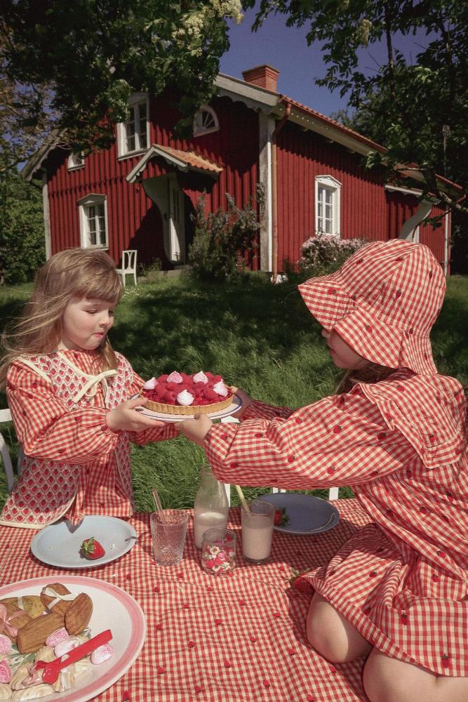 flöss Molly Long Sleeve Dress - Berry Gingham / Pre Order