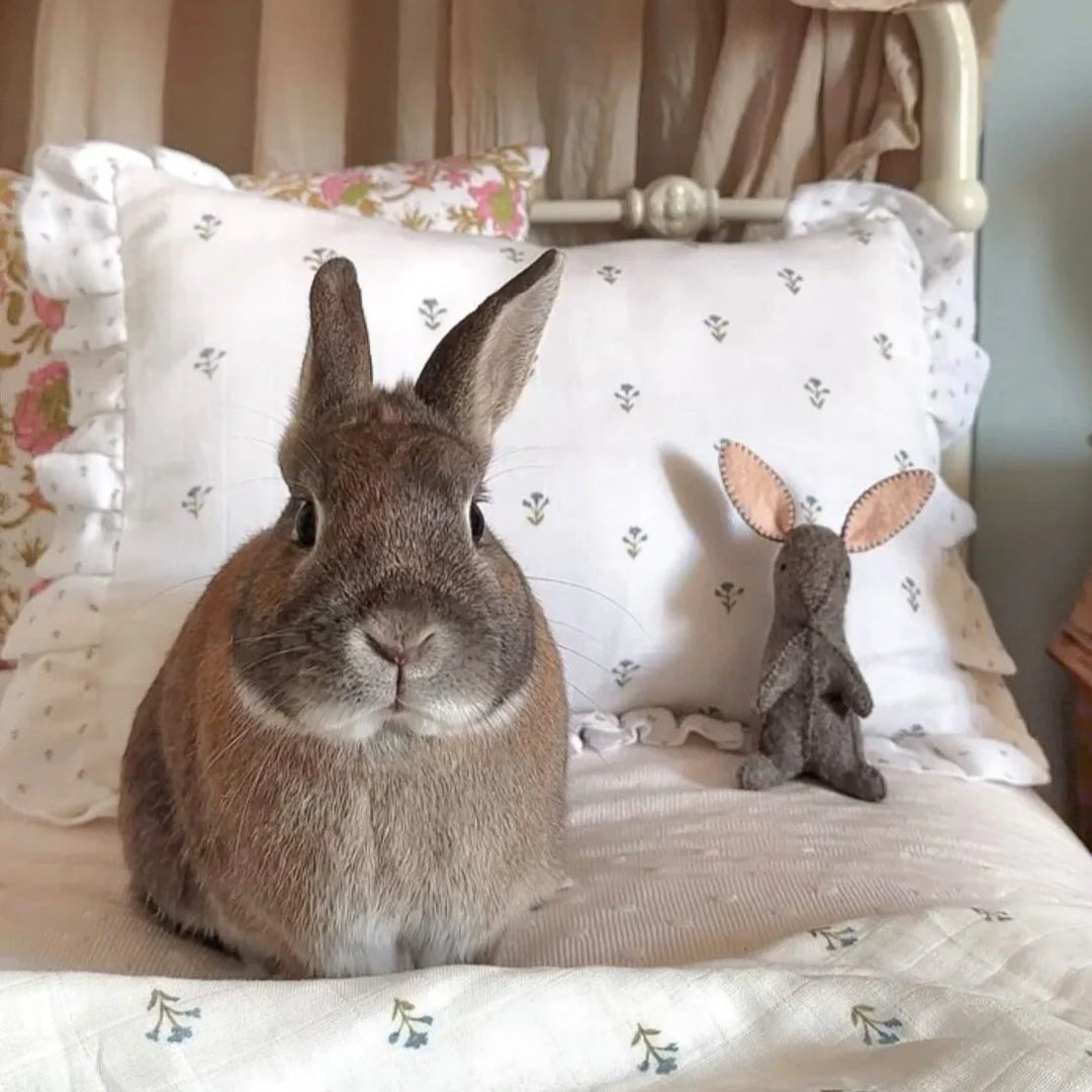 Fledge and Thread Throw Cushion - Blue Floral