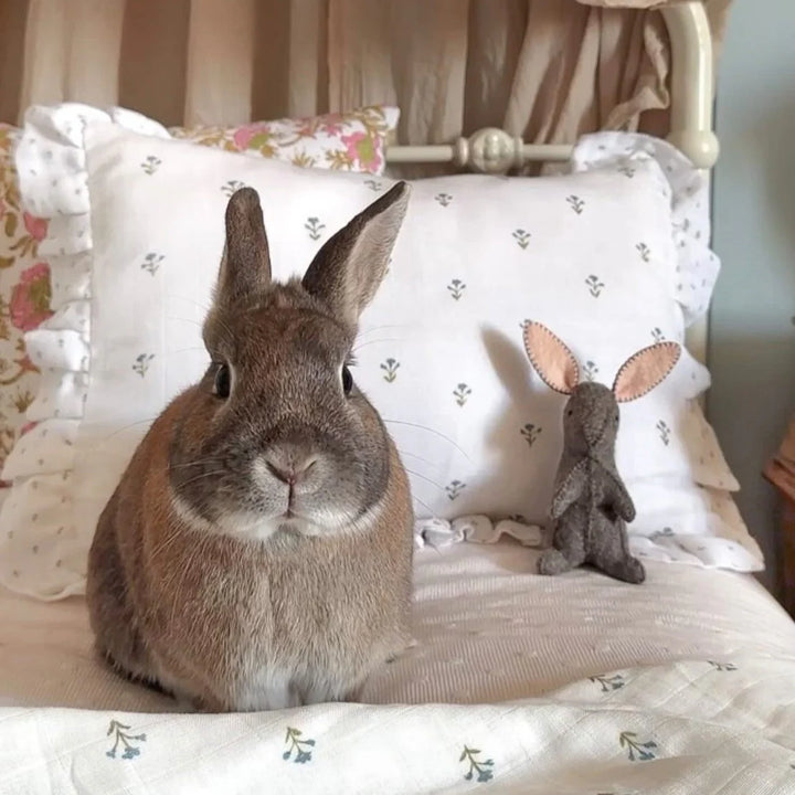 Fledge and Thread Throw Cushion - Blue Floral