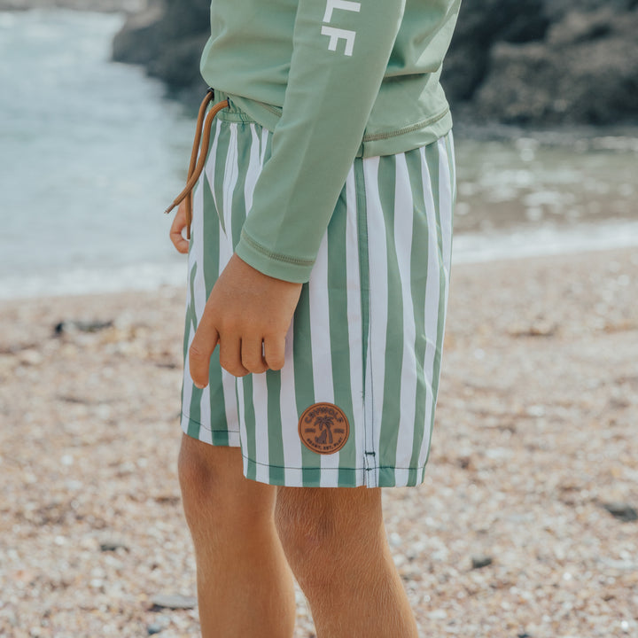 Crywolf Boardshorts - Coastal Stripe