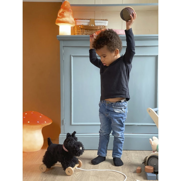 Egmont Toys Pull Along Walter Dog