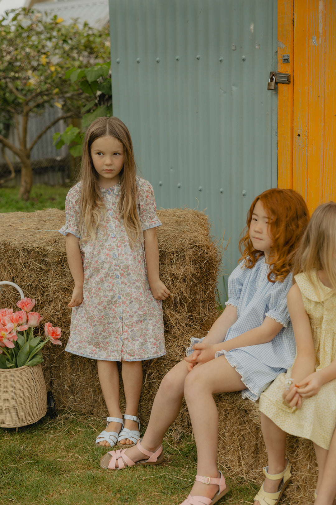 Elma Mae Dress - Liberty Nancy Ann