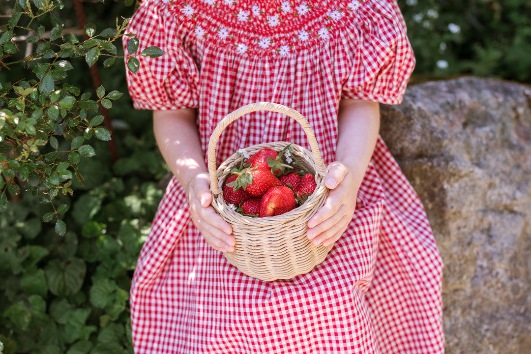 Elma Celeste Dress - Strawberry Gingham