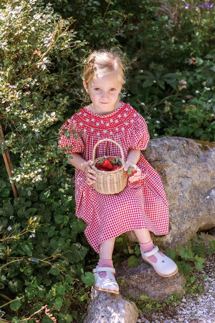 Elma Celeste Dress - Strawberry Gingham