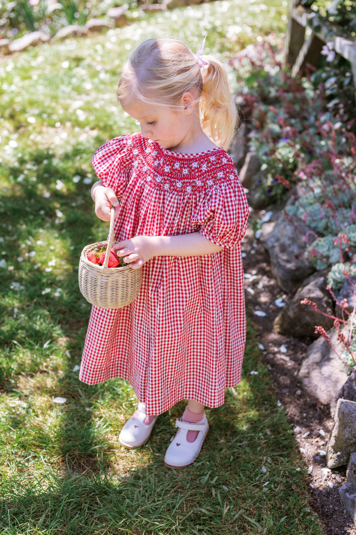 Elma Celeste Dress - Strawberry Gingham