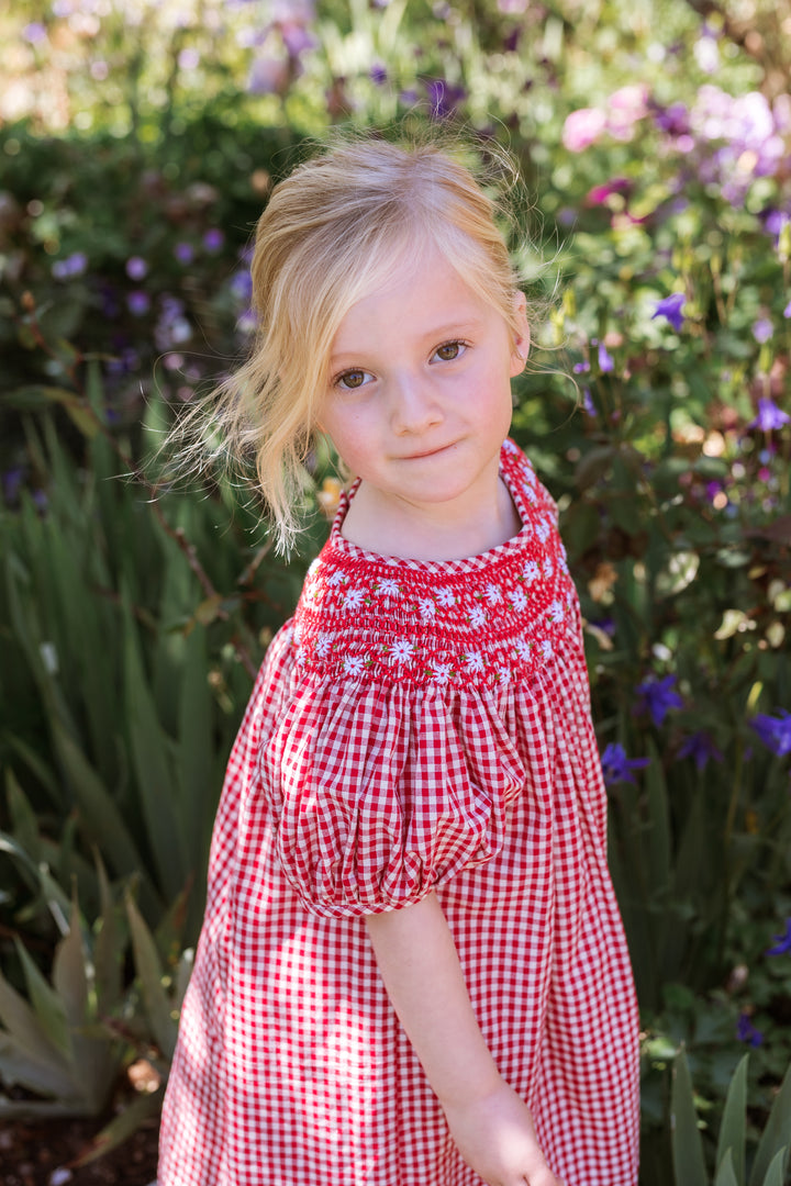Elma Celeste Dress - Strawberry Gingham