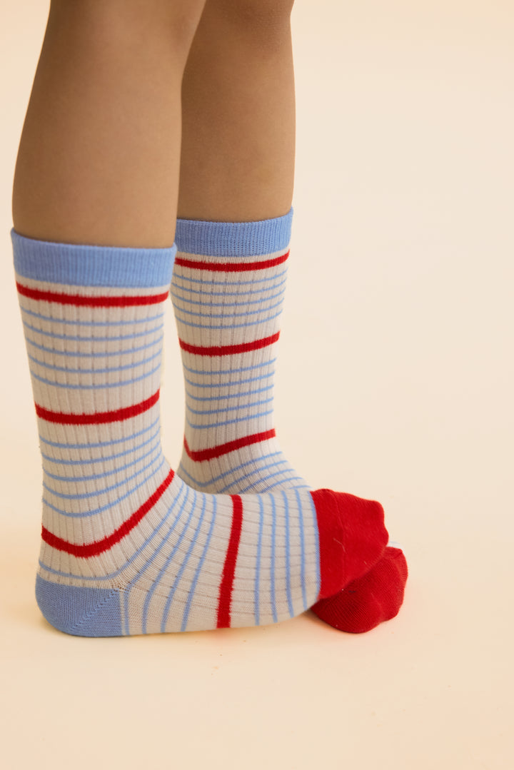 Flöss Vilde Socks 2 Pack - Blue Stripe Mix