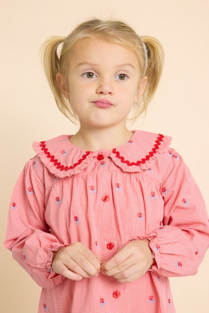 Flöss Sonja Dress - Pink Rose Gingham