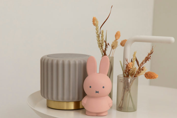 Miffy Money Box - Powder