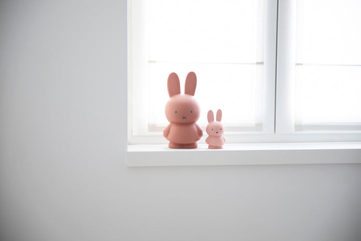 Miffy Money Box - Powder