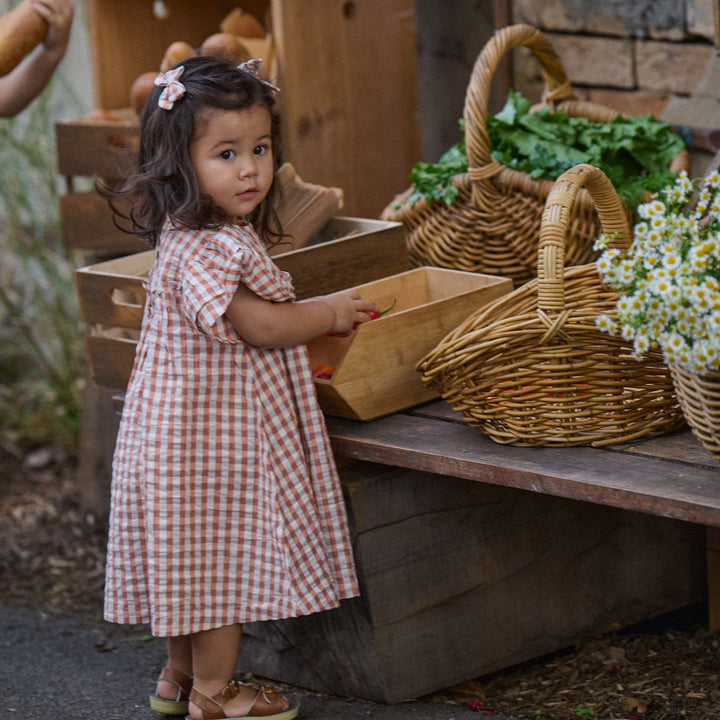 Nature Baby Una Dress - Dandelion Gingham