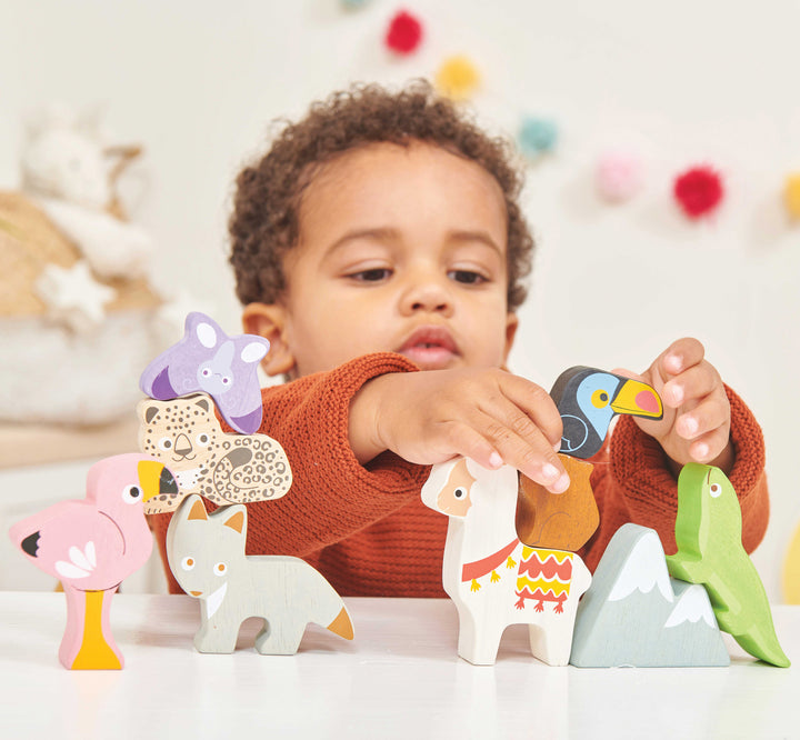 Le Toy Van - Andes Stacking Tower & Bag