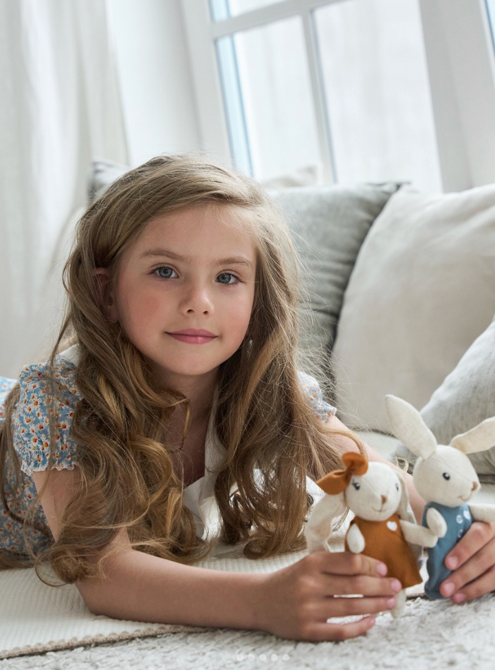 Speedy Monkey Rabbit Family - 4 Characters