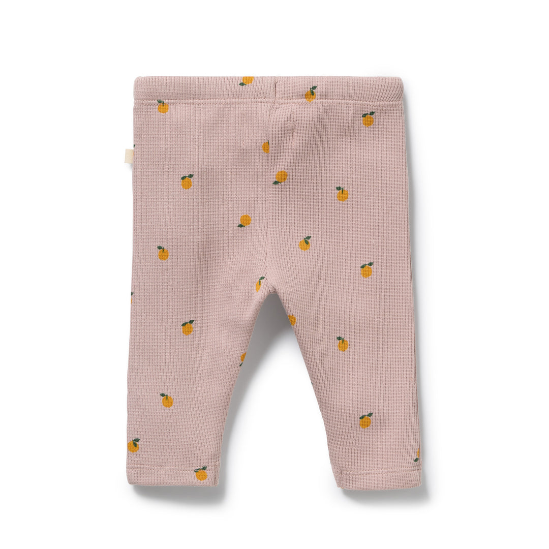 Wilson & Frenchy Organic Waffle Legging - Mini Mando