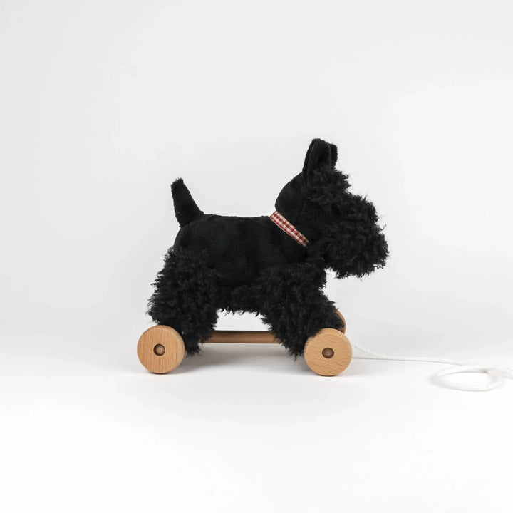 Egmont Toys Pull Along Walter Dog