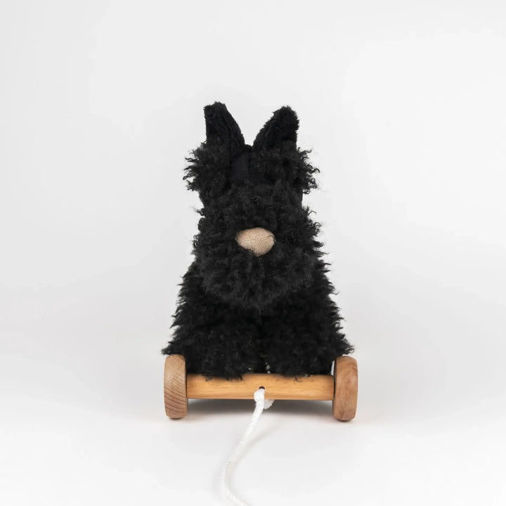 Egmont Toys Pull Along Walter Dog