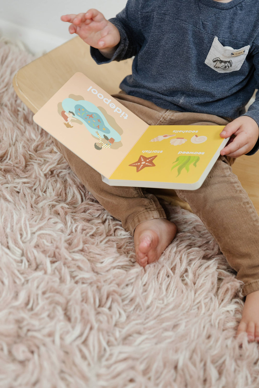 Beach Baby - Board Book
