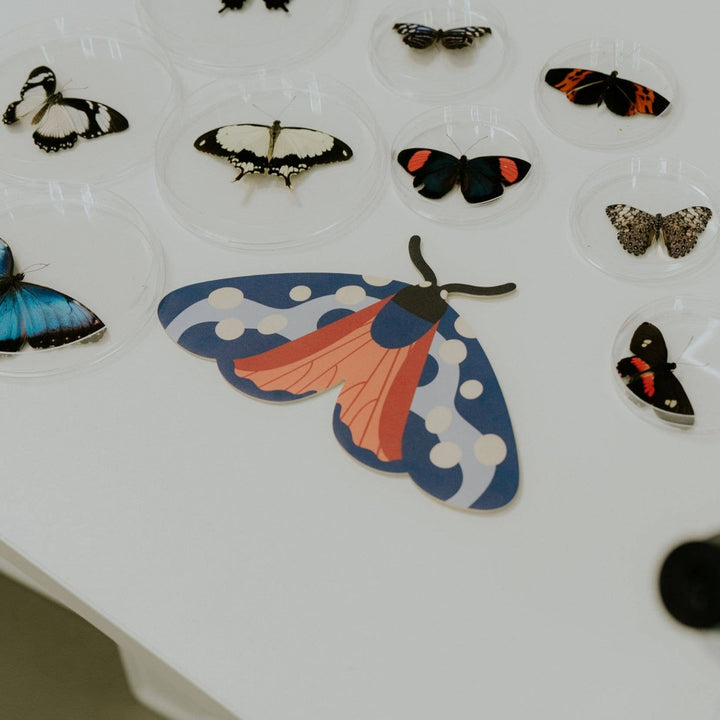 Milin - Burnet the Butterfly Wall Decoration