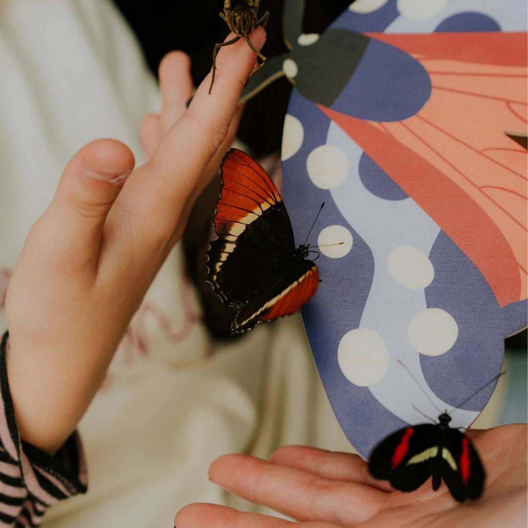 Milin - Burnet the Butterfly Wall Decoration