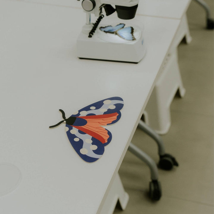 Milin - Burnet the Butterfly Wall Decoration