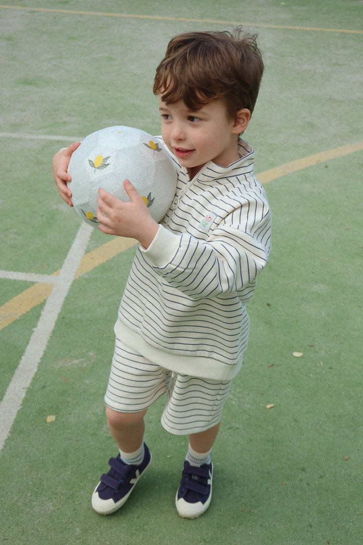 Konges Sløjd Lou Stripe Half Zip Sweatshirt - Flintstone Stripe