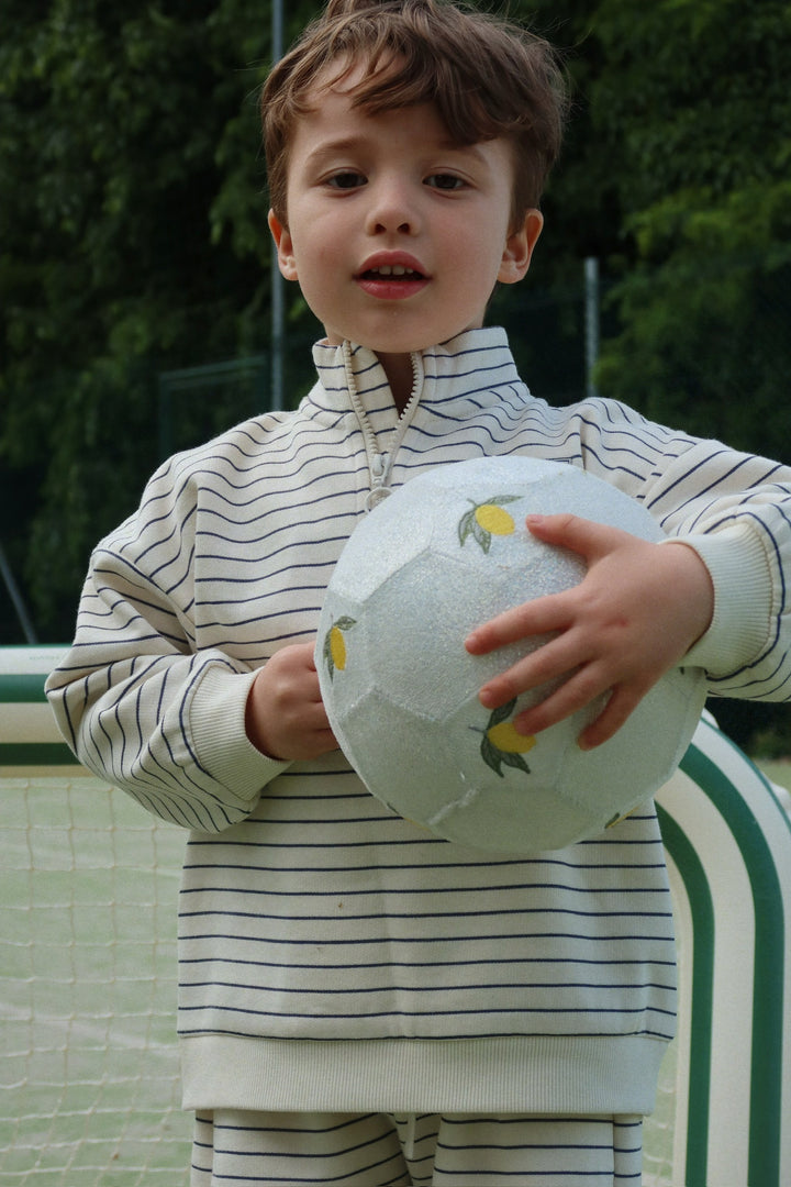 Konges Sløjd Lou Stripe Half Zip Sweatshirt - Flintstone Stripe